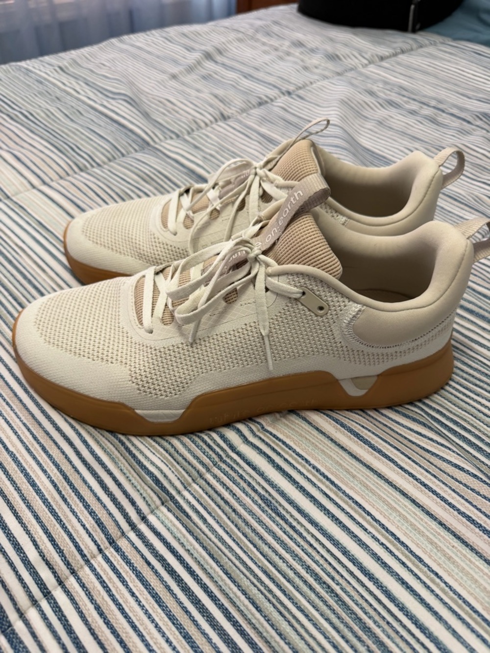 While On Earth - Move trainer